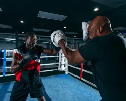 TITLE White Punch Mitts 2.0