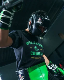 WBC by TITLE Boxing Sparring Gear Bundle