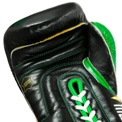 WBC by TITLE Boxing Sparring Gear Bundle